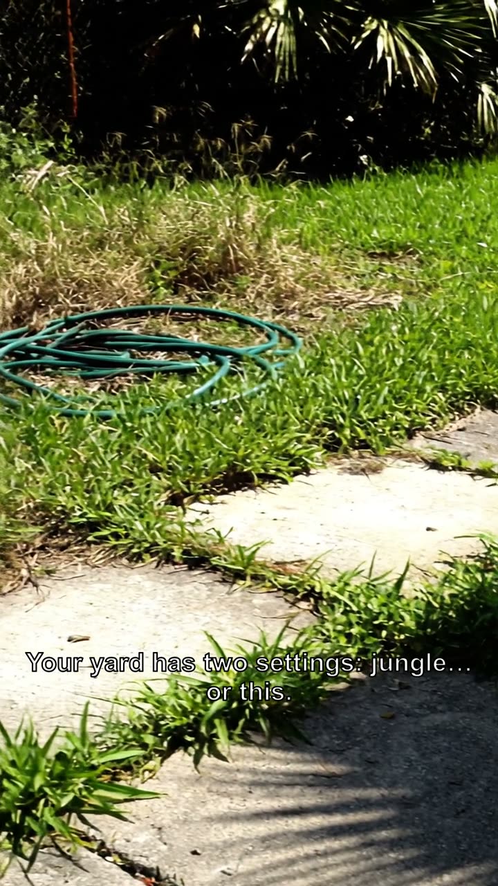 landscaping demo ad poster